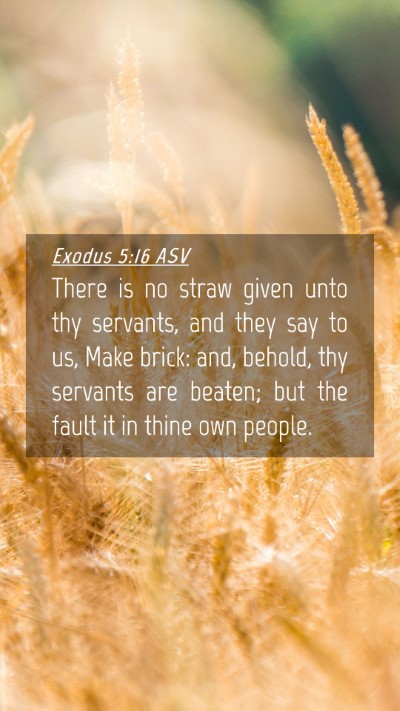 Picture 04 - Exodus 5:16 ASV Mobile Phone Wallpaper - There is no straw given unto thy servants, and - Mobile Bible Verse Wallpaper