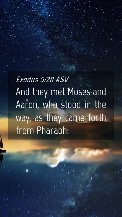 Picture 04 - Exodus 5:20 ASV Mobile Phone Wallpaper - And they met Moses and Aaron, who stood in the - Mobile Bible Verse Wallpaper