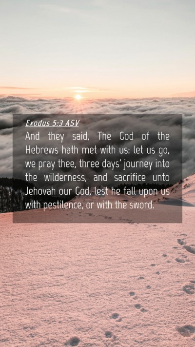 Picture 04 - Exodus 5:3 ASV Mobile Phone Wallpaper - And they said, The God of the Hebrews hath met - Mobile Bible Verse Wallpaper