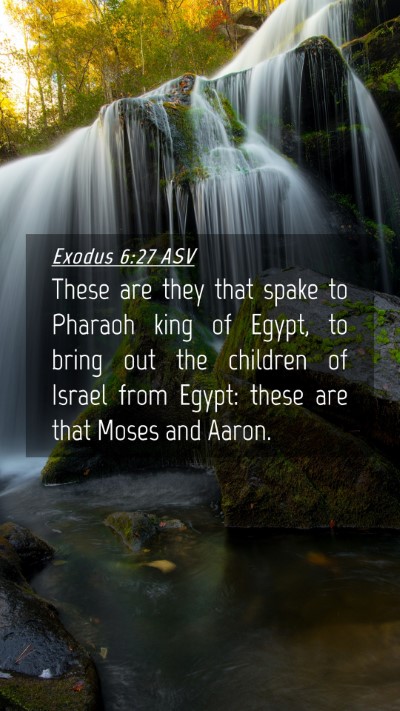 Picture 04 - Exodus 6:27 ASV Mobile Phone Wallpaper - These are they that spake to Pharaoh king of - Mobile Bible Verse Wallpaper