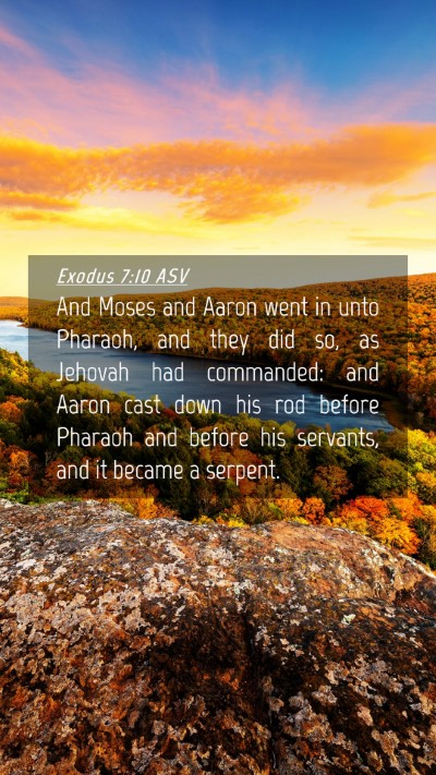 Picture 04 - Exodus 7:10 ASV Mobile Phone Wallpaper - And Moses and Aaron went in unto Pharaoh, and - Mobile Bible Verse Wallpaper
