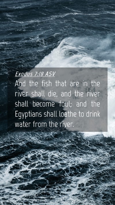 Picture 04 - Exodus 7:18 ASV Mobile Phone Wallpaper - And the fish that are in the river shall die, and - Mobile Bible Verse Wallpaper