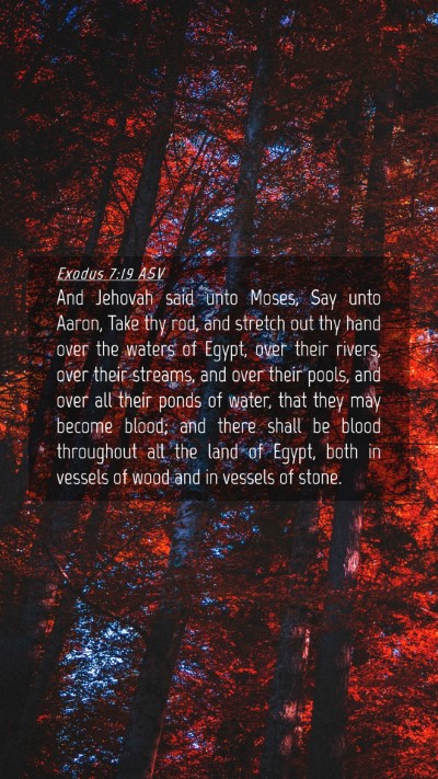 Picture 04 - Exodus 7:19 ASV Mobile Phone Wallpaper - And Jehovah said unto Moses, Say unto Aaron, Take - Mobile Bible Verse Wallpaper