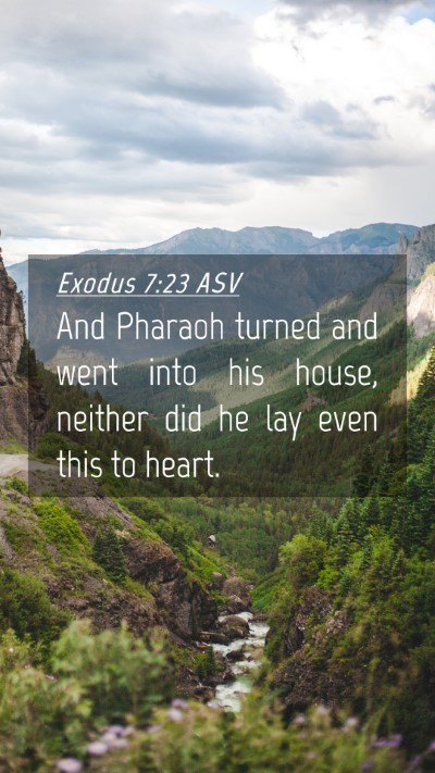 Picture 04 - Exodus 7:23 ASV Mobile Phone Wallpaper - And Pharaoh turned and went into his house, - Mobile Bible Verse Wallpaper