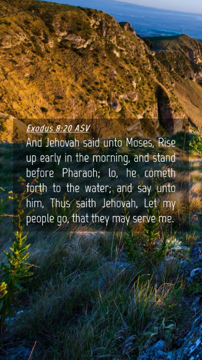 Picture 04 - Exodus 8:20 ASV Mobile Phone Wallpaper - And Jehovah said unto Moses, Rise up early in the - Mobile Bible Verse Wallpaper