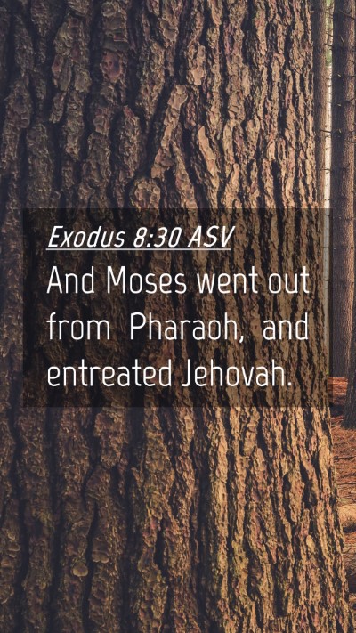 Picture 04 - Exodus 8:30 ASV Mobile Phone Wallpaper - And Moses went out from Pharaoh, and entreated - Mobile Bible Verse Wallpaper