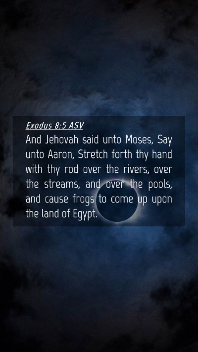 Picture 04 - Exodus 8:5 ASV Mobile Phone Wallpaper - And Jehovah said unto Moses, Say unto Aaron, - Mobile Bible Verse Wallpaper