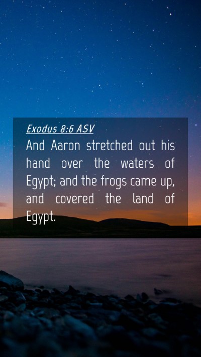 Picture 04 - Exodus 8:6 ASV Mobile Phone Wallpaper - And Aaron stretched out his hand over the waters - Mobile Bible Verse Wallpaper