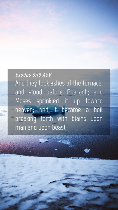 Picture 04 - Exodus 9:10 ASV Mobile Phone Wallpaper - And they took ashes of the furnace, and stood - Mobile Bible Verse Wallpaper