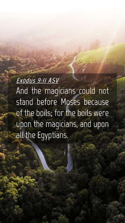 Picture 04 - Exodus 9:11 ASV Mobile Phone Wallpaper - And the magicians could not stand before Moses - Mobile Bible Verse Wallpaper