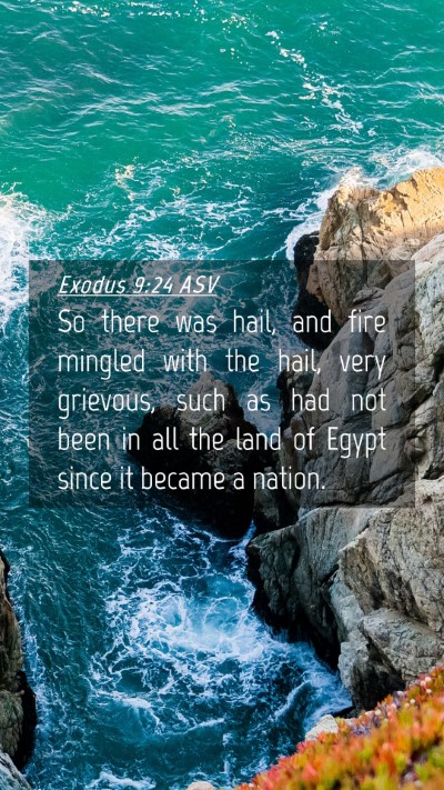 Picture 04 - Exodus 9:24 ASV Mobile Phone Wallpaper - So there was hail, and fire mingled with the - Mobile Bible Verse Wallpaper