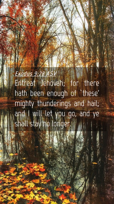 Picture 04 - Exodus 9:28 ASV Mobile Phone Wallpaper - Entreat Jehovah; for there hath been enough of - Mobile Bible Verse Wallpaper