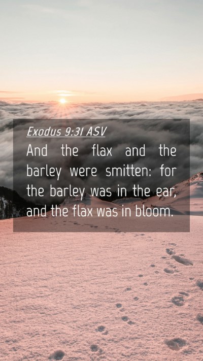 Picture 04 - Exodus 9:31 ASV Mobile Phone Wallpaper - And the flax and the barley were smitten: for the - Mobile Bible Verse Wallpaper