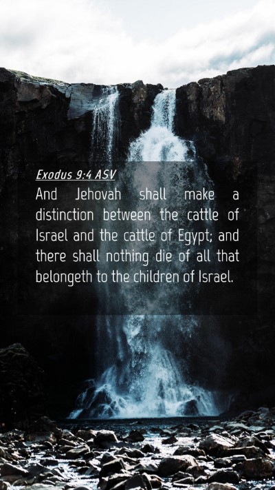 Picture 04 - Exodus 9:4 ASV Mobile Phone Wallpaper - And Jehovah shall make a distinction between the - Mobile Bible Verse Wallpaper