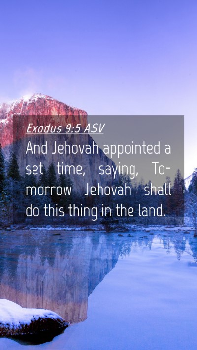 Picture 04 - Exodus 9:5 ASV Mobile Phone Wallpaper - And Jehovah appointed a set time, saying, - Mobile Bible Verse Wallpaper