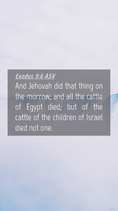 Picture 04 - Exodus 9:6 ASV Mobile Phone Wallpaper - And Jehovah did that thing on the morrow; and all - Mobile Bible Verse Wallpaper