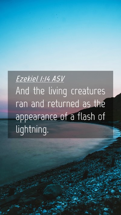 Picture 04 - Ezekiel 1:14 ASV Mobile Phone Wallpaper - And the living creatures ran and returned as the - Mobile Bible Verse Wallpaper