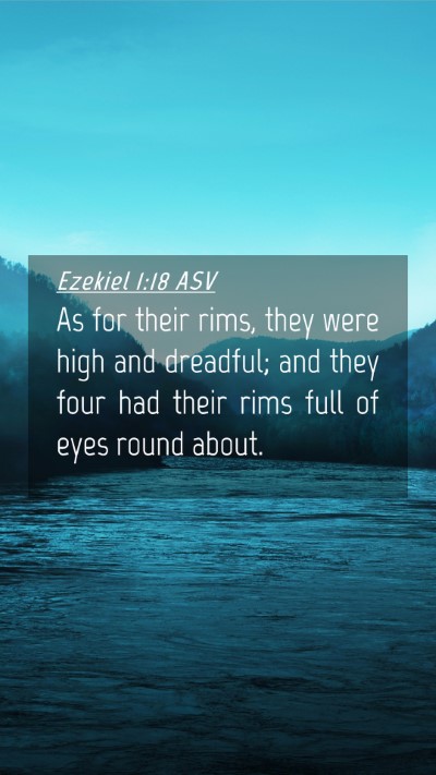 Picture 04 - Ezekiel 1:18 ASV Mobile Phone Wallpaper - As for their rims, they were high and dreadful; - Mobile Bible Verse Wallpaper