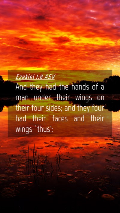 Picture 04 - Ezekiel 1:8 ASV Mobile Phone Wallpaper - And they had the hands of a man under their wings - Mobile Bible Verse Wallpaper