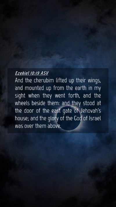 Picture 04 - Ezekiel 10:19 ASV Mobile Phone Wallpaper - And the cherubim lifted up their wings, and - Mobile Bible Verse Wallpaper