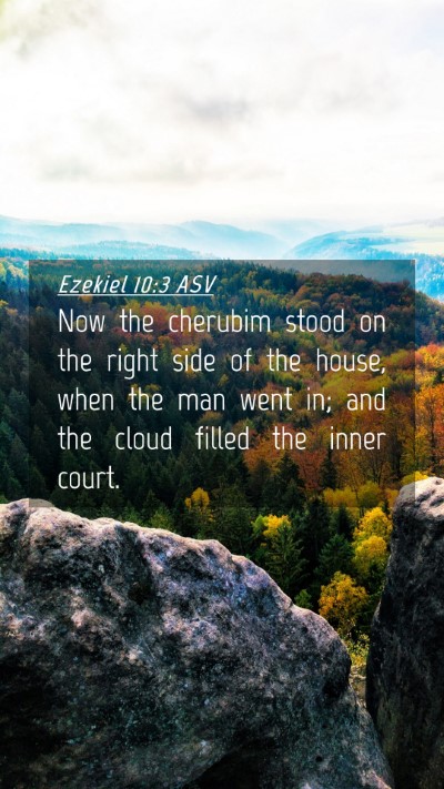 Picture 04 - Ezekiel 10:3 ASV Mobile Phone Wallpaper - Now the cherubim stood on the right side of the - Mobile Bible Verse Wallpaper