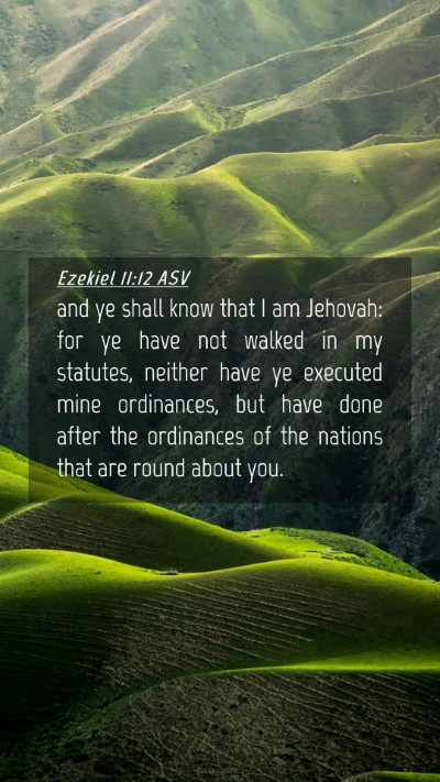 Picture 04 - Ezekiel 11:12 ASV Mobile Phone Wallpaper - and ye shall know that I am Jehovah: for ye have - Mobile Bible Verse Wallpaper