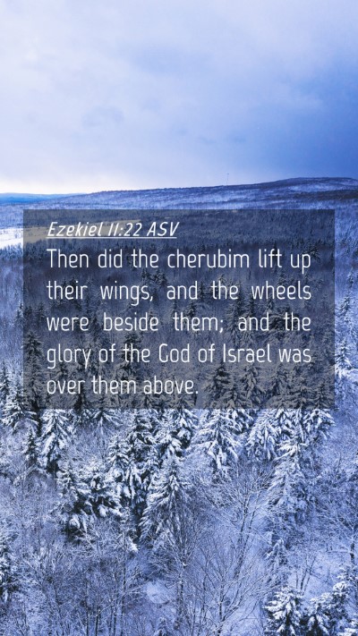 Picture 04 - Ezekiel 11:22 ASV Mobile Phone Wallpaper - Then did the cherubim lift up their wings, and - Mobile Bible Verse Wallpaper