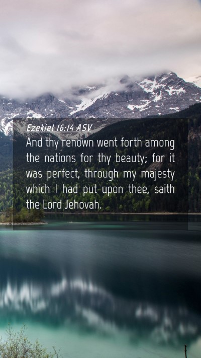 Picture 04 - Ezekiel 16:14 ASV Mobile Phone Wallpaper - And thy renown went forth among the nations for - Mobile Bible Verse Wallpaper