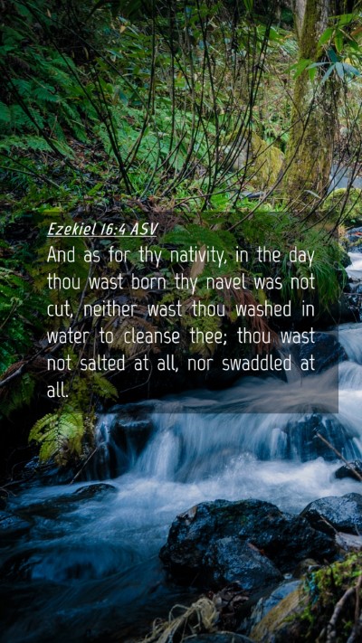 Picture 04 - Ezekiel 16:4 ASV Mobile Phone Wallpaper - And as for thy nativity, in the day thou wast - Mobile Bible Verse Wallpaper