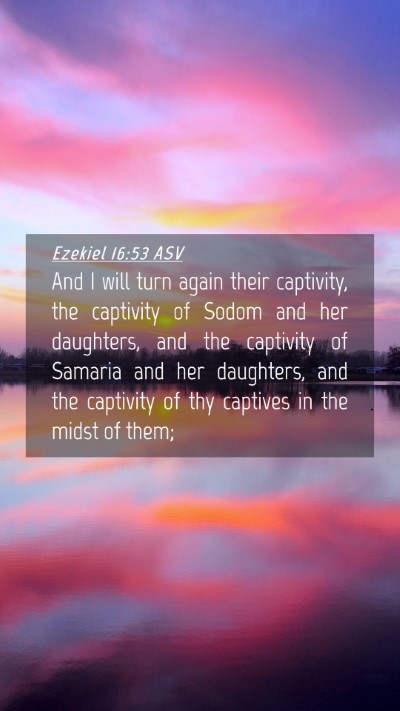 Picture 04 - Ezekiel 16:53 ASV Mobile Phone Wallpaper - And I will turn again their captivity, the - Mobile Bible Verse Wallpaper
