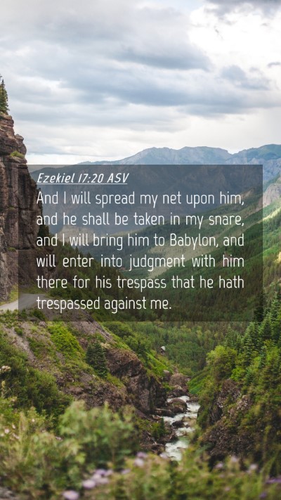 Picture 04 - Ezekiel 17:20 ASV Mobile Phone Wallpaper - And I will spread my net upon him, and he shall - Mobile Bible Verse Wallpaper