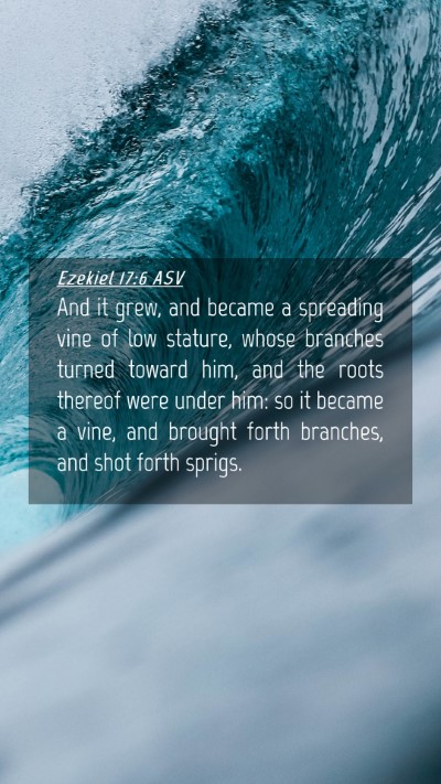Picture 04 - Ezekiel 17:6 ASV Mobile Phone Wallpaper - And it grew, and became a spreading vine of low - Mobile Bible Verse Wallpaper