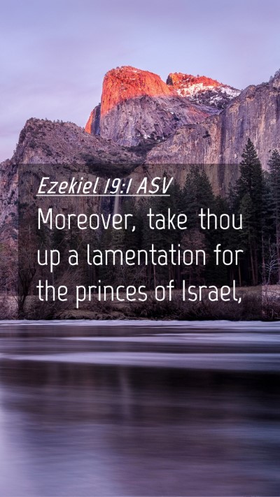 Picture 04 - Ezekiel 19:1 ASV Mobile Phone Wallpaper - Moreover, take thou up a lamentation for the - Mobile Bible Verse Wallpaper