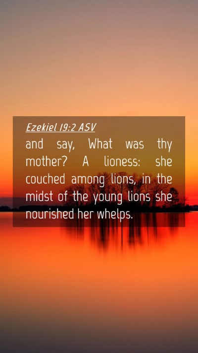 Picture 04 - Ezekiel 19:2 ASV Mobile Phone Wallpaper - and say, What was thy mother? A lioness: she - Mobile Bible Verse Wallpaper