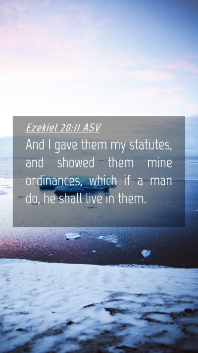 Picture 04 - Ezekiel 20:11 ASV Mobile Phone Wallpaper - And I gave them my statutes, and showed them mine - Mobile Bible Verse Wallpaper