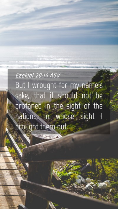 Picture 04 - Ezekiel 20:14 ASV Mobile Phone Wallpaper - But I wrought for my name's sake, that it should - Mobile Bible Verse Wallpaper