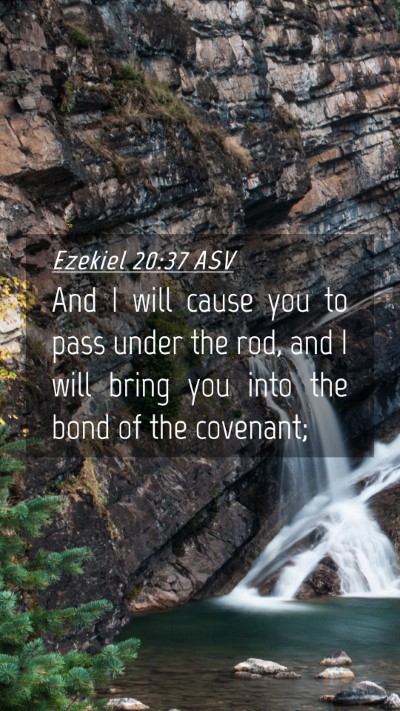Picture 04 - Ezekiel 20:37 ASV Mobile Phone Wallpaper - And I will cause you to pass under the rod, and I - Mobile Bible Verse Wallpaper