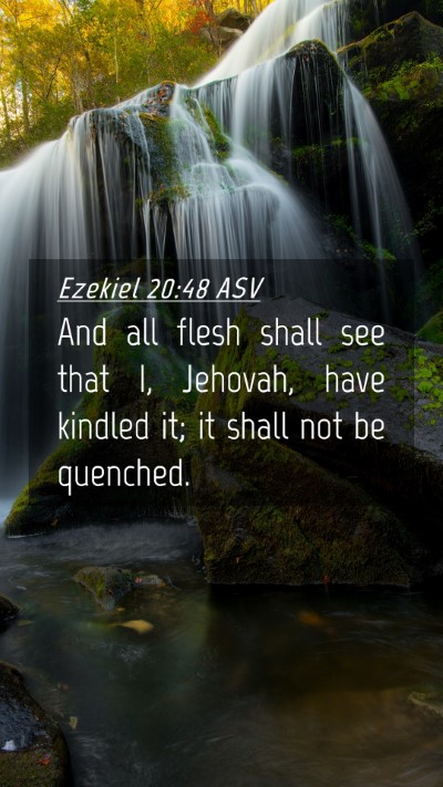 Picture 04 - Ezekiel 20:48 ASV Mobile Phone Wallpaper - And all flesh shall see that I, Jehovah, have - Mobile Bible Verse Wallpaper