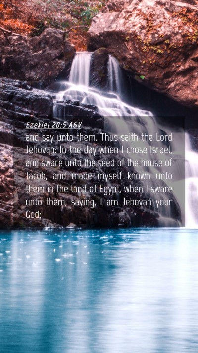 Picture 04 - Ezekiel 20:5 ASV Mobile Phone Wallpaper - and say unto them, Thus saith the Lord Jehovah: - Mobile Bible Verse Wallpaper