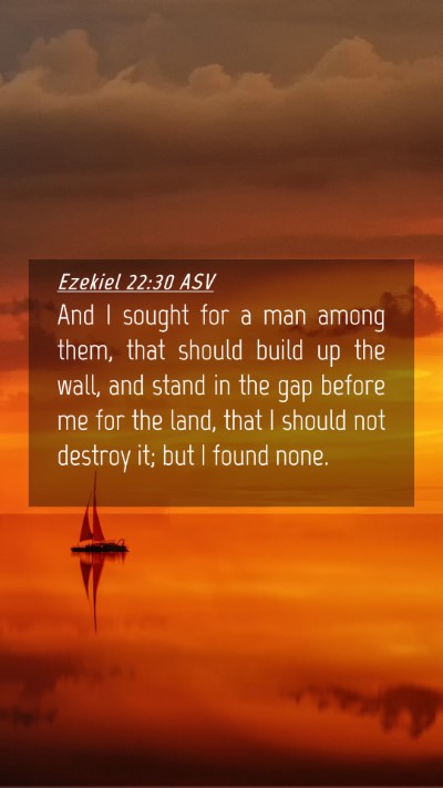 Picture 04 - Ezekiel 22:30 ASV Mobile Phone Wallpaper - And I sought for a man among them, that should - Mobile Bible Verse Wallpaper