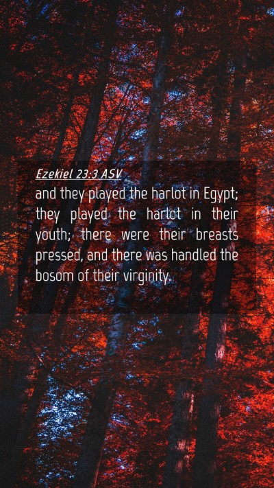 Picture 04 - Ezekiel 23:3 ASV Mobile Phone Wallpaper - and they played the harlot in Egypt; they played - Mobile Bible Verse Wallpaper