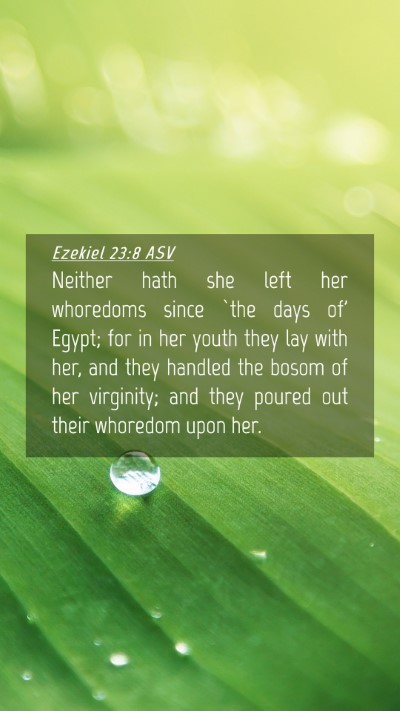 Picture 04 - Ezekiel 23:8 ASV Mobile Phone Wallpaper - Neither hath she left her whoredoms since `the - Mobile Bible Verse Wallpaper