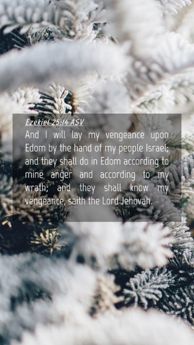Picture 04 - Ezekiel 25:14 ASV Mobile Phone Wallpaper - And I will lay my vengeance upon Edom by the hand - Mobile Bible Verse Wallpaper
