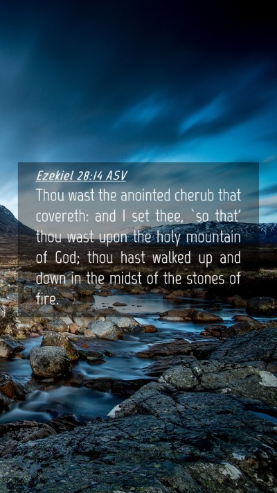 Picture 04 - Ezekiel 28:14 ASV Mobile Phone Wallpaper - Thou wast the anointed cherub that covereth: and - Mobile Bible Verse Wallpaper
