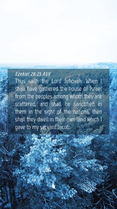 Picture 04 - Ezekiel 28:25 ASV Mobile Phone Wallpaper - Thus saith the Lord Jehovah: When I shall have - Mobile Bible Verse Wallpaper