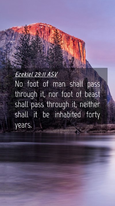 Picture 04 - Ezekiel 29:11 ASV Mobile Phone Wallpaper - No foot of man shall pass through it, nor foot of - Mobile Bible Verse Wallpaper