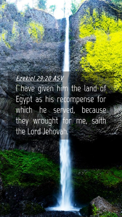 Picture 04 - Ezekiel 29:20 ASV Mobile Phone Wallpaper - I have given him the land of Egypt as his - Mobile Bible Verse Wallpaper