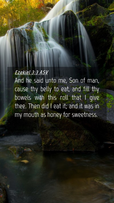 Picture 04 - Ezekiel 3:3 ASV Mobile Phone Wallpaper - And he said unto me, Son of man, cause thy belly - Mobile Bible Verse Wallpaper