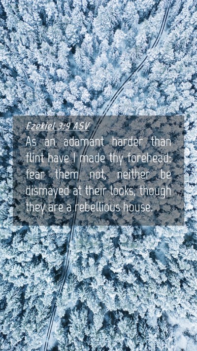 Picture 04 - Ezekiel 3:9 ASV Mobile Phone Wallpaper - As an adamant harder than flint have I made thy - Mobile Bible Verse Wallpaper