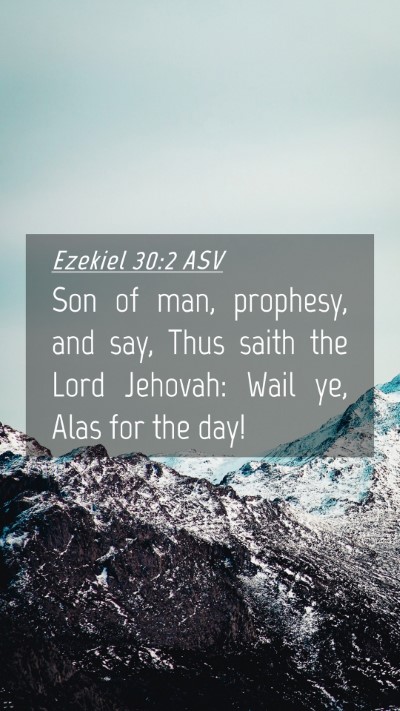 Picture 04 - Ezekiel 30:2 ASV Mobile Phone Wallpaper - Son of man, prophesy, and say, Thus saith the - Mobile Bible Verse Wallpaper